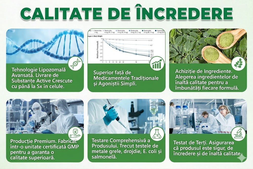 🧑‍⚕️ Plasture nano cu microace 10-în-1 pentru susținerea metabolismului cu Moringa × Berberină × AMPK 🇷🇴
