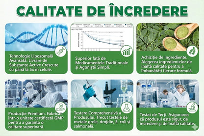 🧑‍⚕️ Plasture nano cu microace 10-în-1 pentru susținerea metabolismului cu Moringa × Berberină × AMPK 🇷🇴