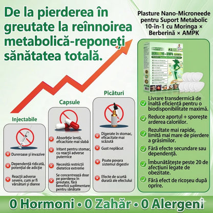 🧑‍⚕️ Plasture nano cu microace 10-în-1 pentru susținerea metabolismului cu Moringa × Berberină × AMPK 🇷🇴