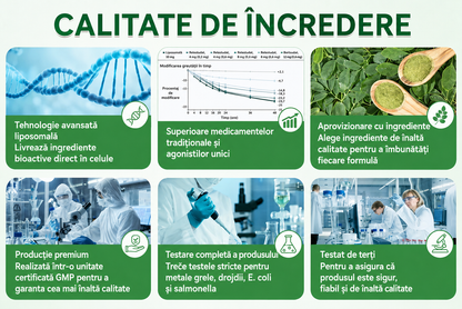 💖 Magazin Oficial | 🌿 GLORENDA® Moringa · Berberină × NAD+ Plasture Avansat Nano cu Microace 10 în 1 (Doar o dată pe zi, schimbări vizibile în 7 zile) ✅ Pentru obezitate, piele lăsată, diabet, apnee în somn, probleme articulare și multe altele